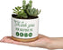 Ceramic Succulent Plant Pot - Teacher Appreciation Gift